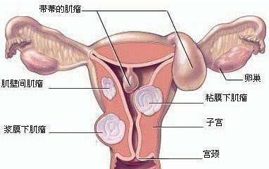 游戏专题 第39页