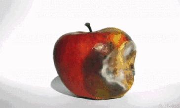 游戏专题 第33页