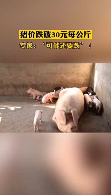 港澳新闻 第10页