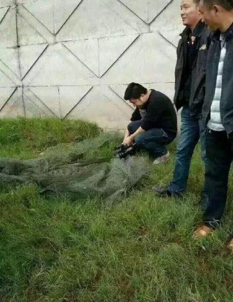 钓到鳄鱼拎进派出所意外钓获鳄鱼，一场人与自然的奇妙遭遇与责任担当