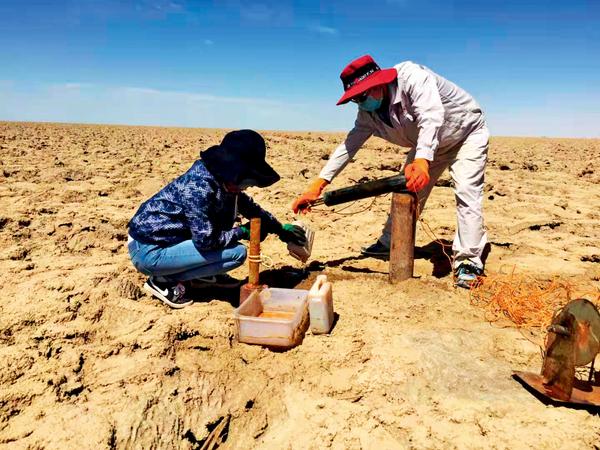 用吸管修复盐碱地用吸管修复盐碱地，一种创新方法的探索与实践